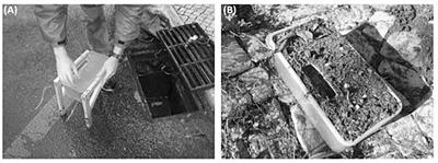 Characterization of Stormwater Runoff Based on Microbial Source Tracking Methods